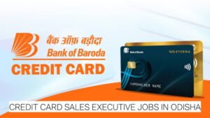 Credit Card Sales Executive Jobs in Odisha | Bank of Baroda Hiring Under Quess Payroll